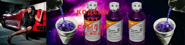 прущие грибы Белокуриха
