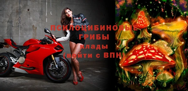 тгк Богданович