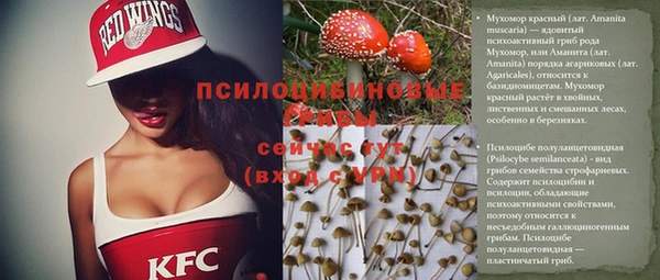 тгк Богданович