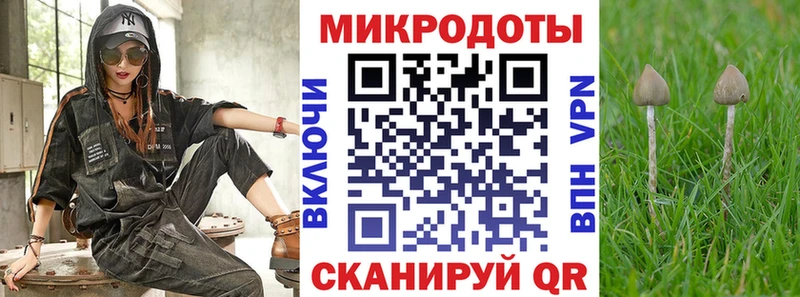 Галлюциногенные грибы Cubensis  Купить закладки  Новоаннинский 